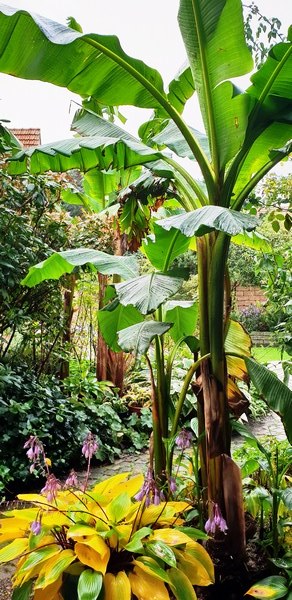 Garten Wilfried Rösner - Het Tuinpad Op / In Nachbars Garten