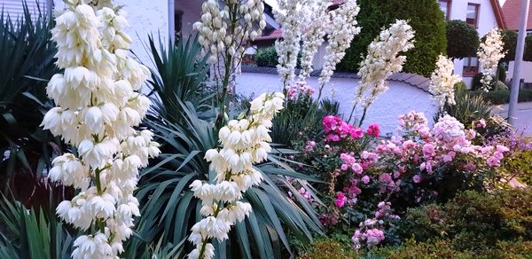 Garten Wilfried Rösner - Het Tuinpad Op / In Nachbars Garten