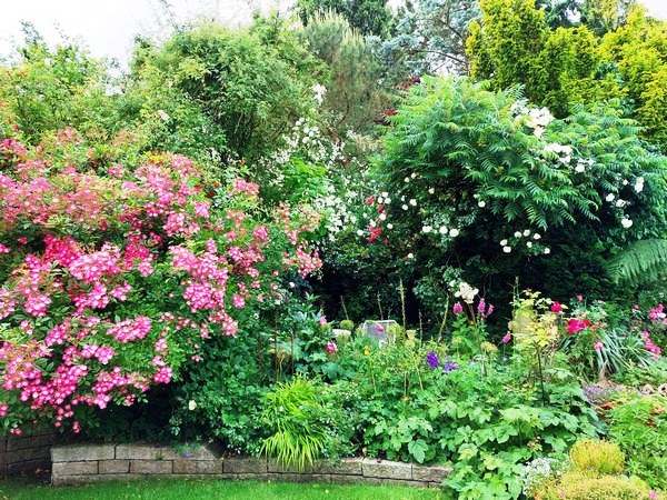 Garten Wilfried Rösner - Het Tuinpad Op / In Nachbars Garten