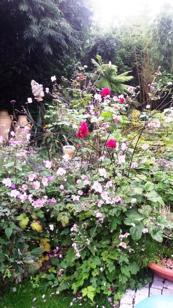 Garten Wilfried Rösner - Het Tuinpad Op / In Nachbars Garten