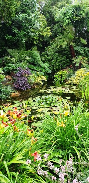 Garten Wilfried Rösner - Het Tuinpad Op / In Nachbars Garten