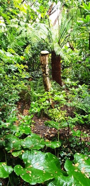 Garten Wilfried Rösner - Het Tuinpad Op / In Nachbars Garten