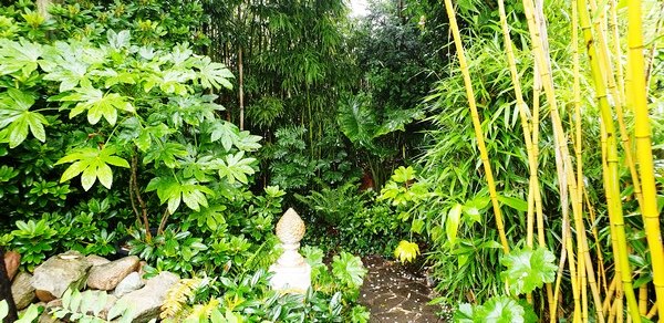 Garten Wilfried Rösner - Het Tuinpad Op / In Nachbars Garten