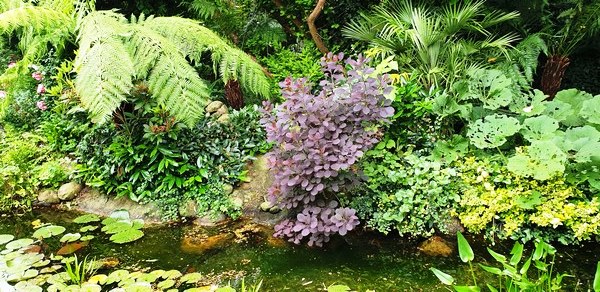 Garten Wilfried Rösner - Het Tuinpad Op / In Nachbars Garten