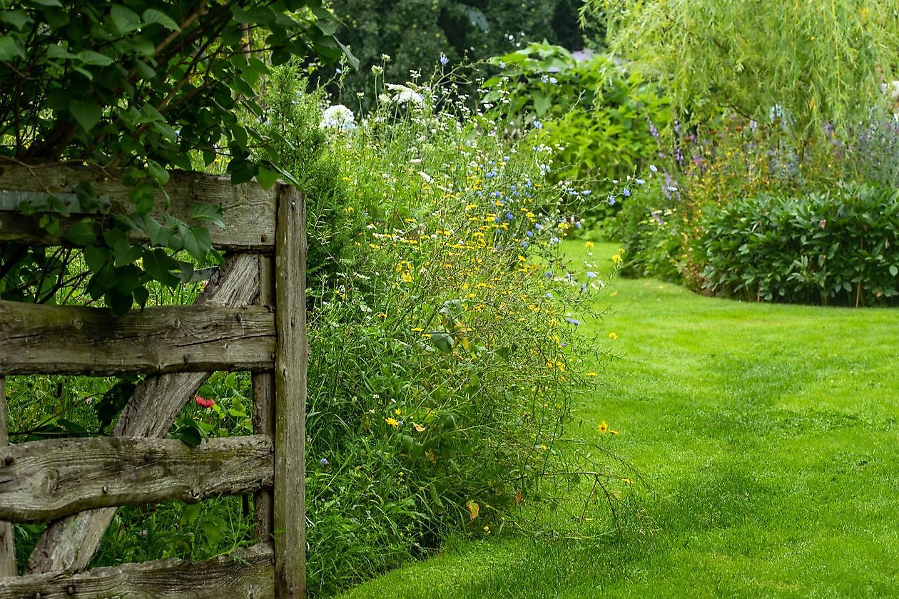 Der Garten des Schulleiters - Het Tuinpad Op / In Nachbars Garten