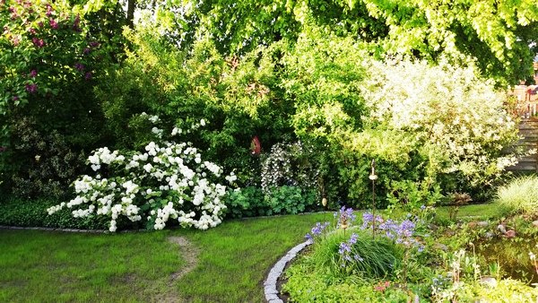 Garten Geziena Scholtalbers - Het Tuinpad Op / In Nachbars Garten