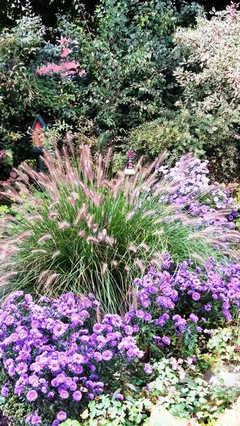 Garten Geziena Scholtalbers - Het Tuinpad Op / In Nachbars Garten