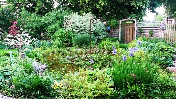 Garten Geziena Scholtalbers - Het Tuinpad Op / In Nachbars Garten