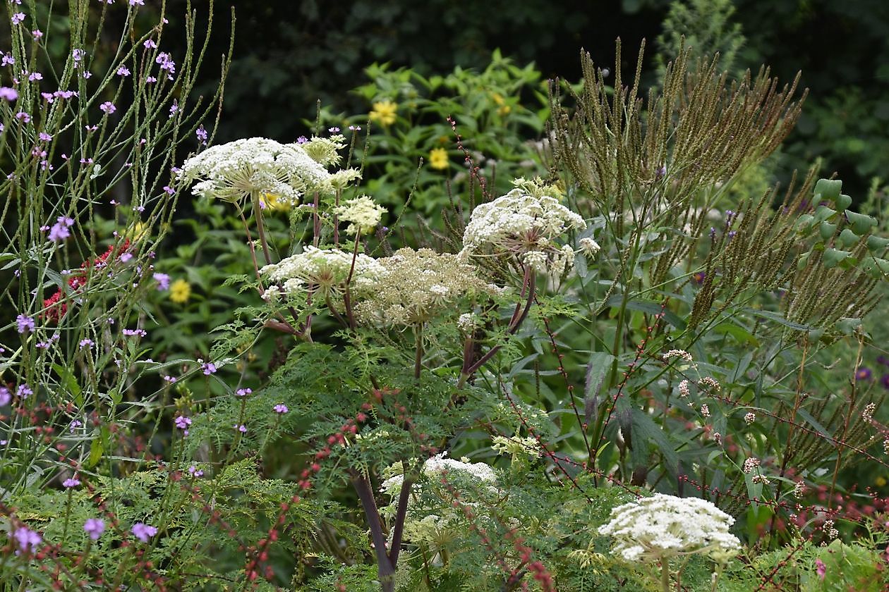 Uilenborg II - Het Tuinpad Op / In Nachbars Garten