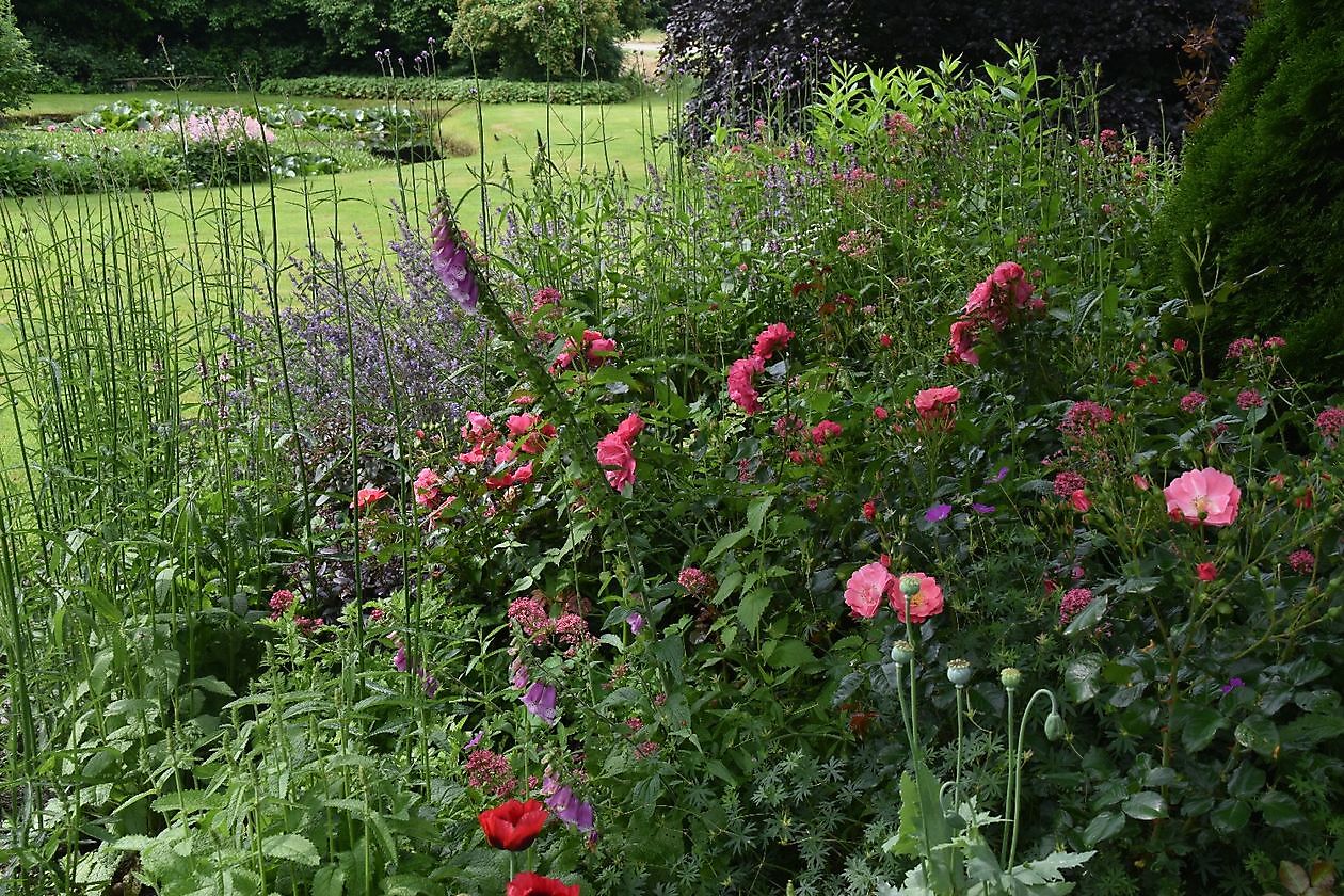 Meerstadtuin - Het Tuinpad Op / In Nachbars Garten