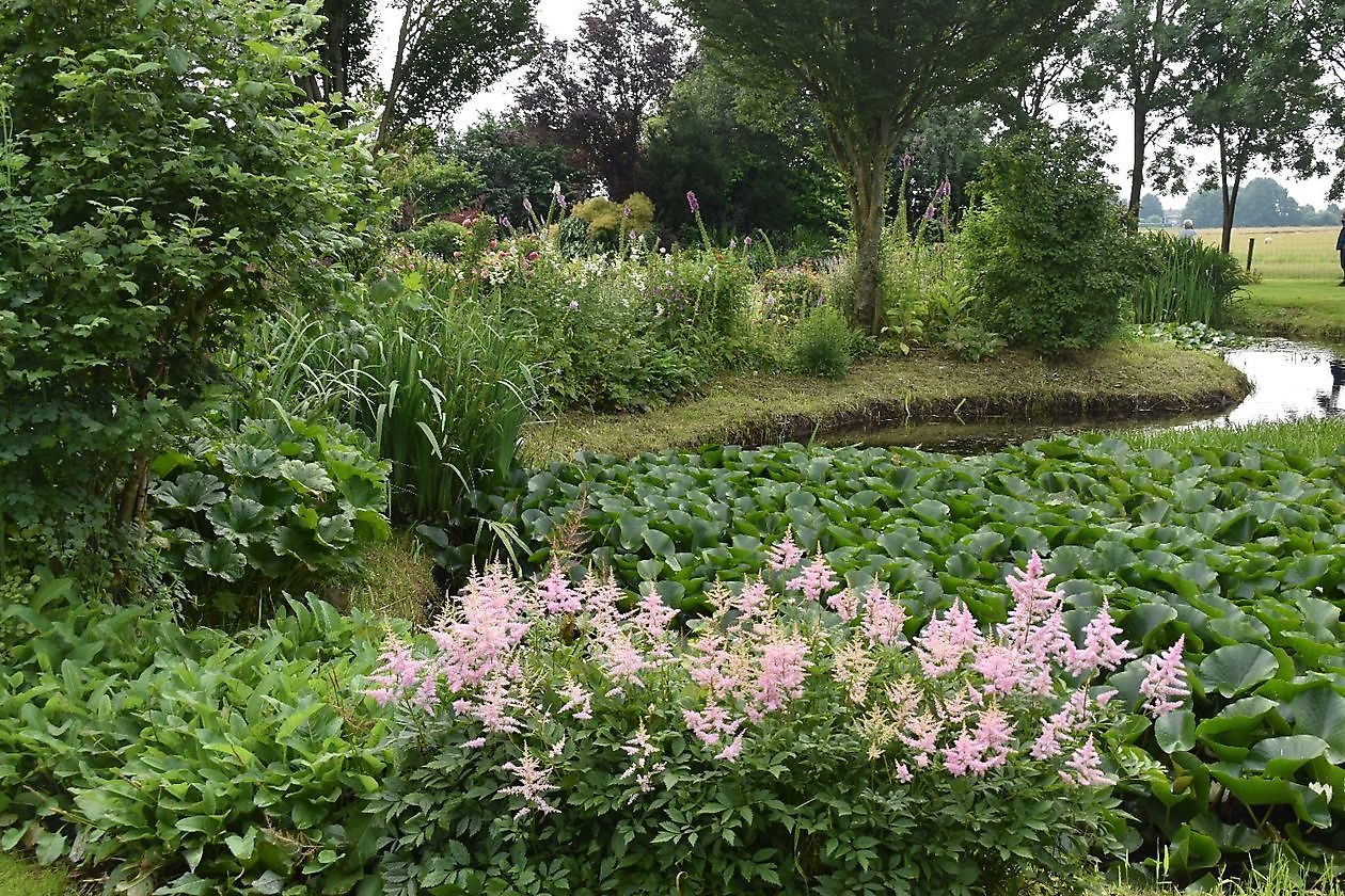 Garten Rotgers - Het Tuinpad Op / In Nachbars Garten
