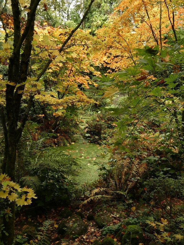 Garten der Stille - Het Tuinpad Op / In Nachbars Garten