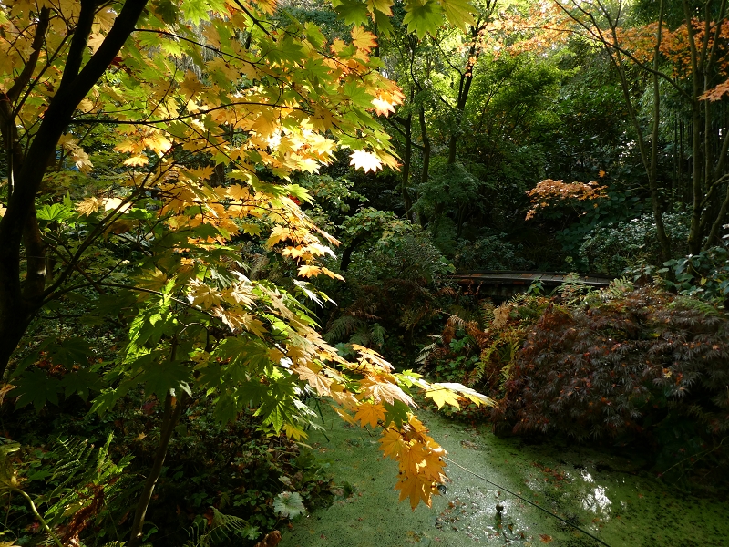 Garten der Stille - Het Tuinpad Op / In Nachbars Garten