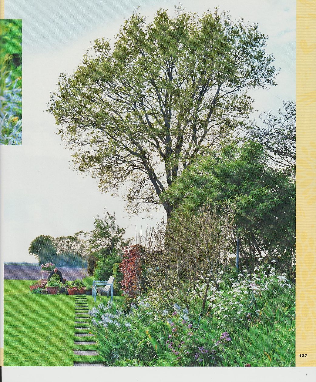 Garten Nauta de Blaauw - Het Tuinpad Op / In Nachbars Garten