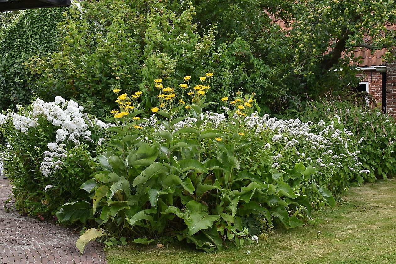 Das Freilichtmuseum Het Hoogeland - Het Tuinpad Op / In Nachbars Garten