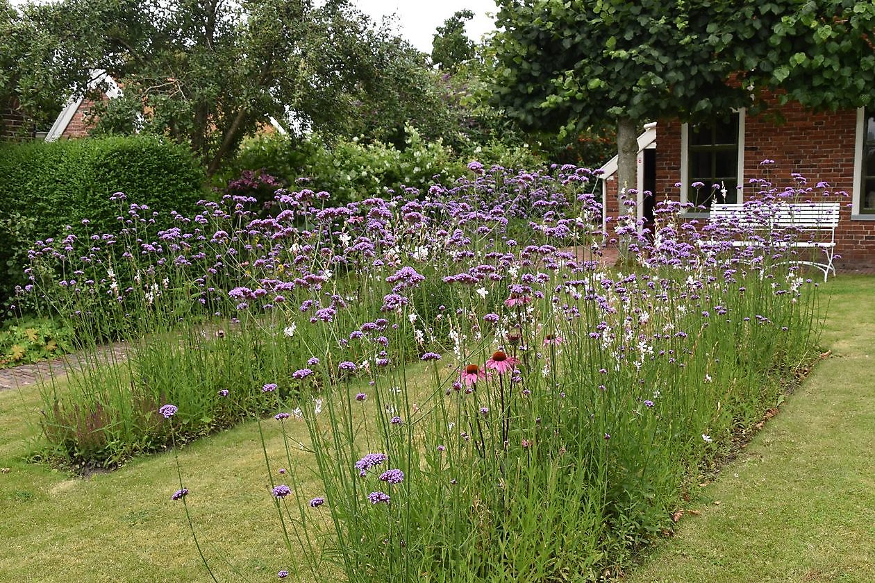 Das Freilichtmuseum Het Hoogeland - Het Tuinpad Op / In Nachbars Garten