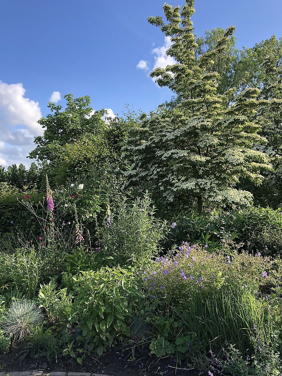  - Het Tuinpad Op / In Nachbars Garten