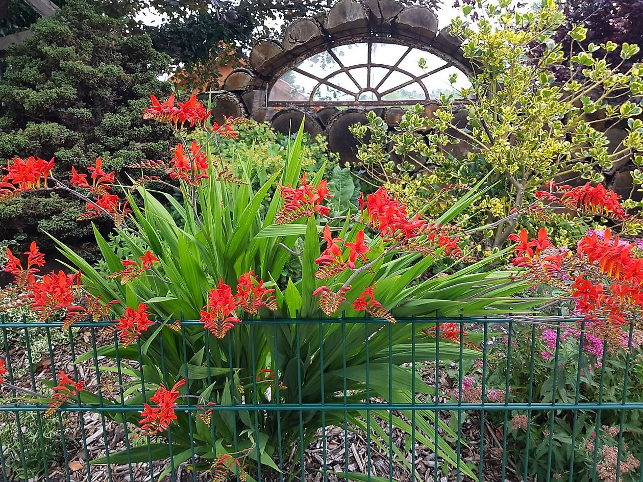 Garten(t)räume - Het Tuinpad Op / In Nachbars Garten