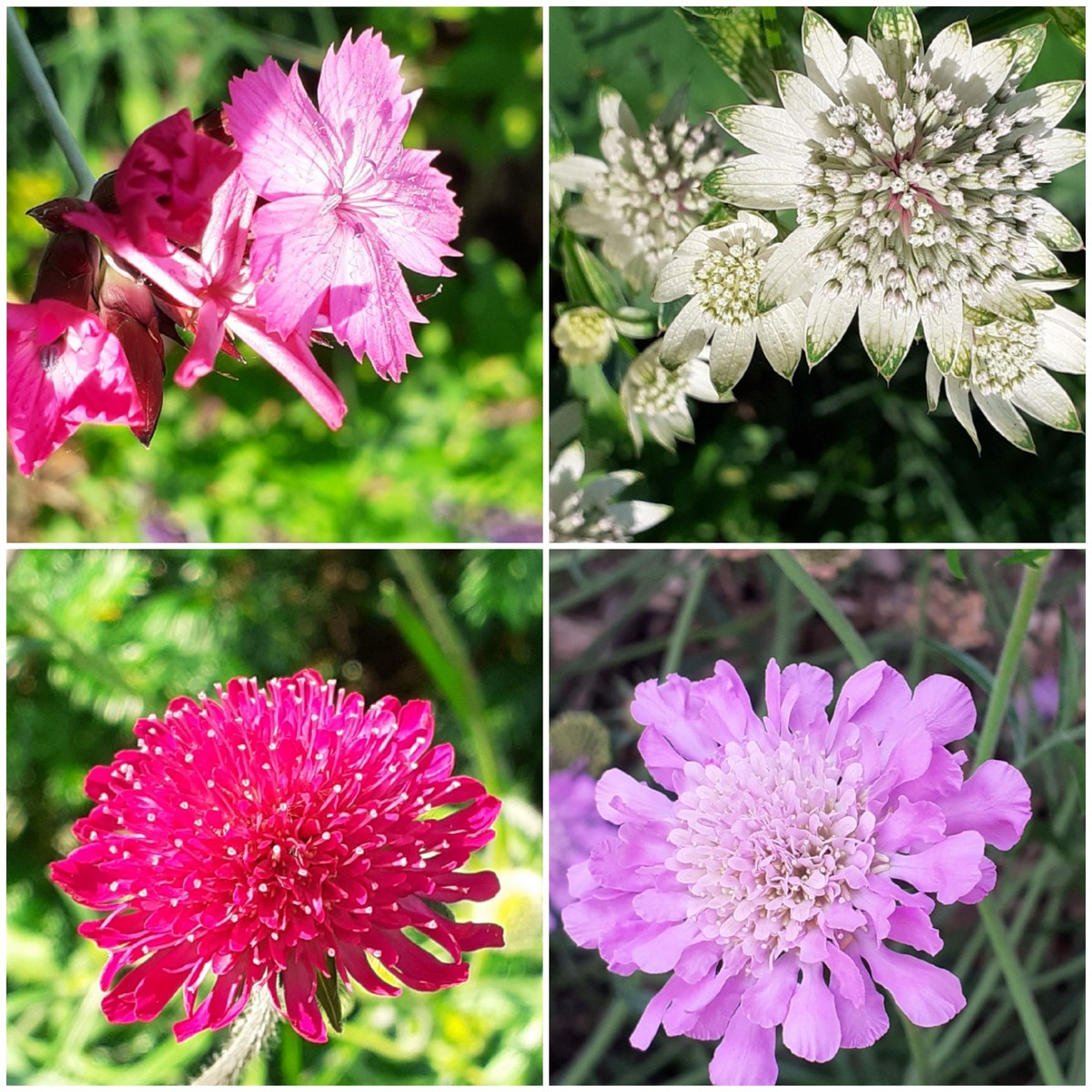 Garten(t)räume - Het Tuinpad Op / In Nachbars Garten