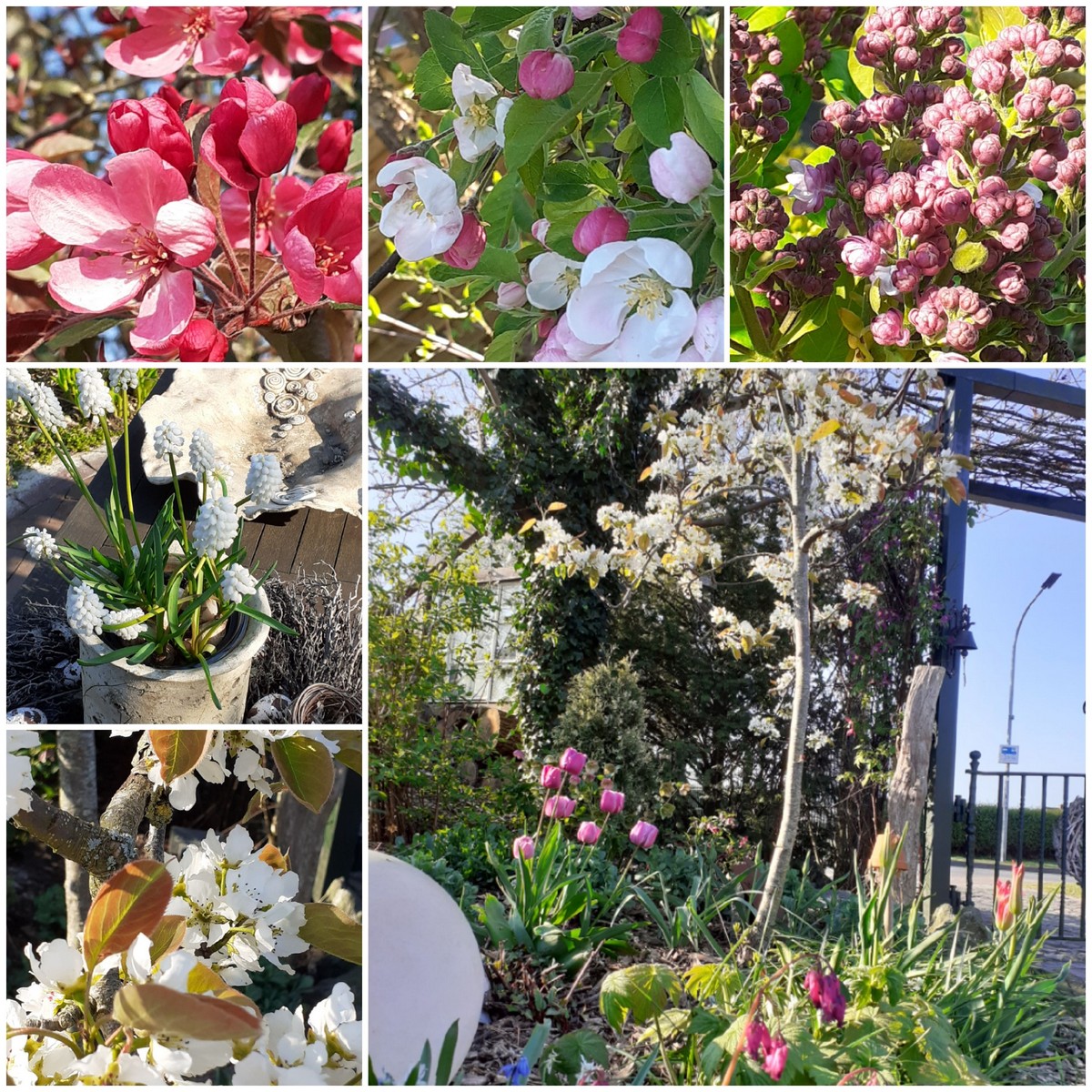 Garten(t)räume - Het Tuinpad Op / In Nachbars Garten