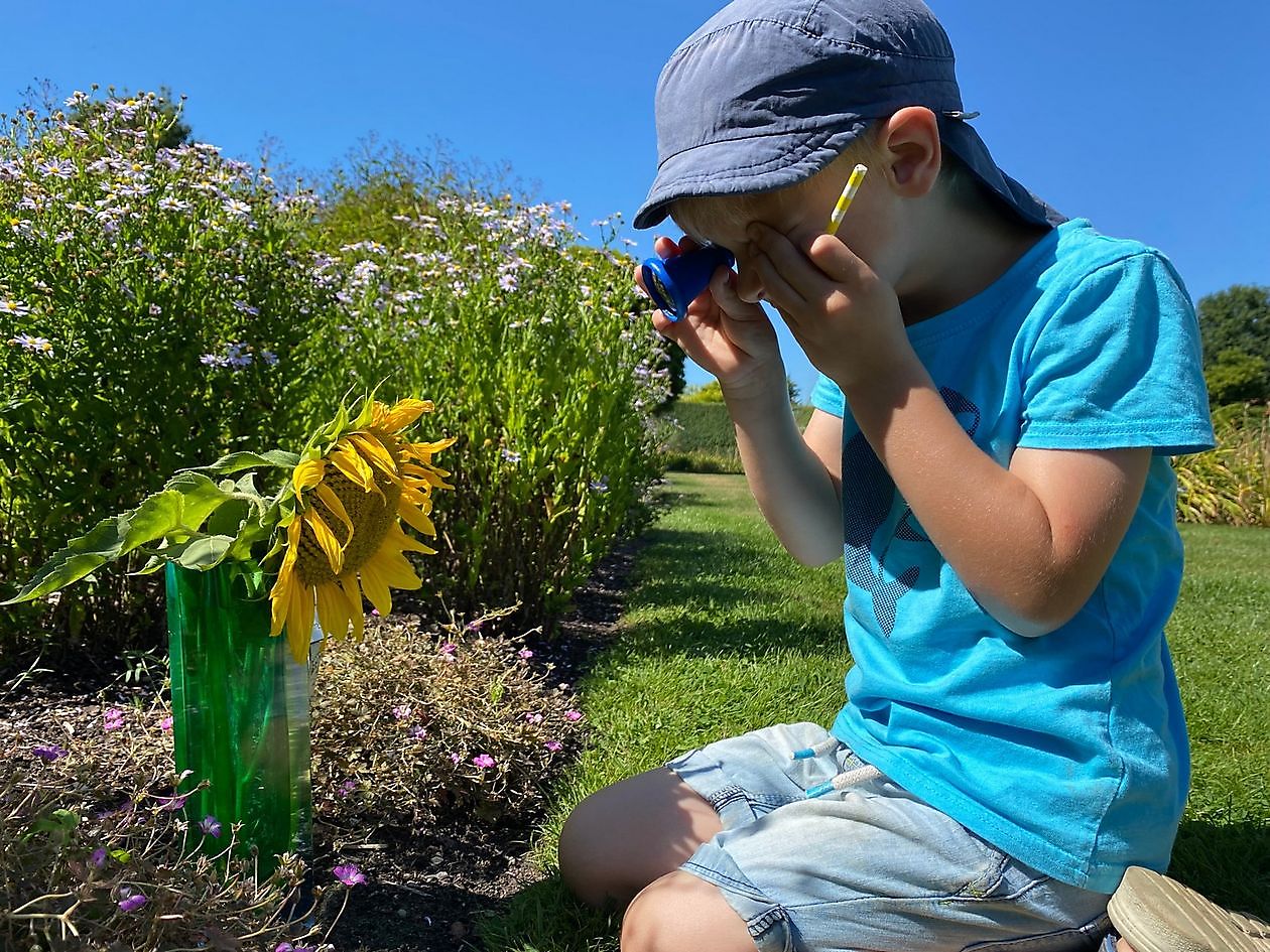 Park der Gärten - Het Tuinpad Op / In Nachbars Garten