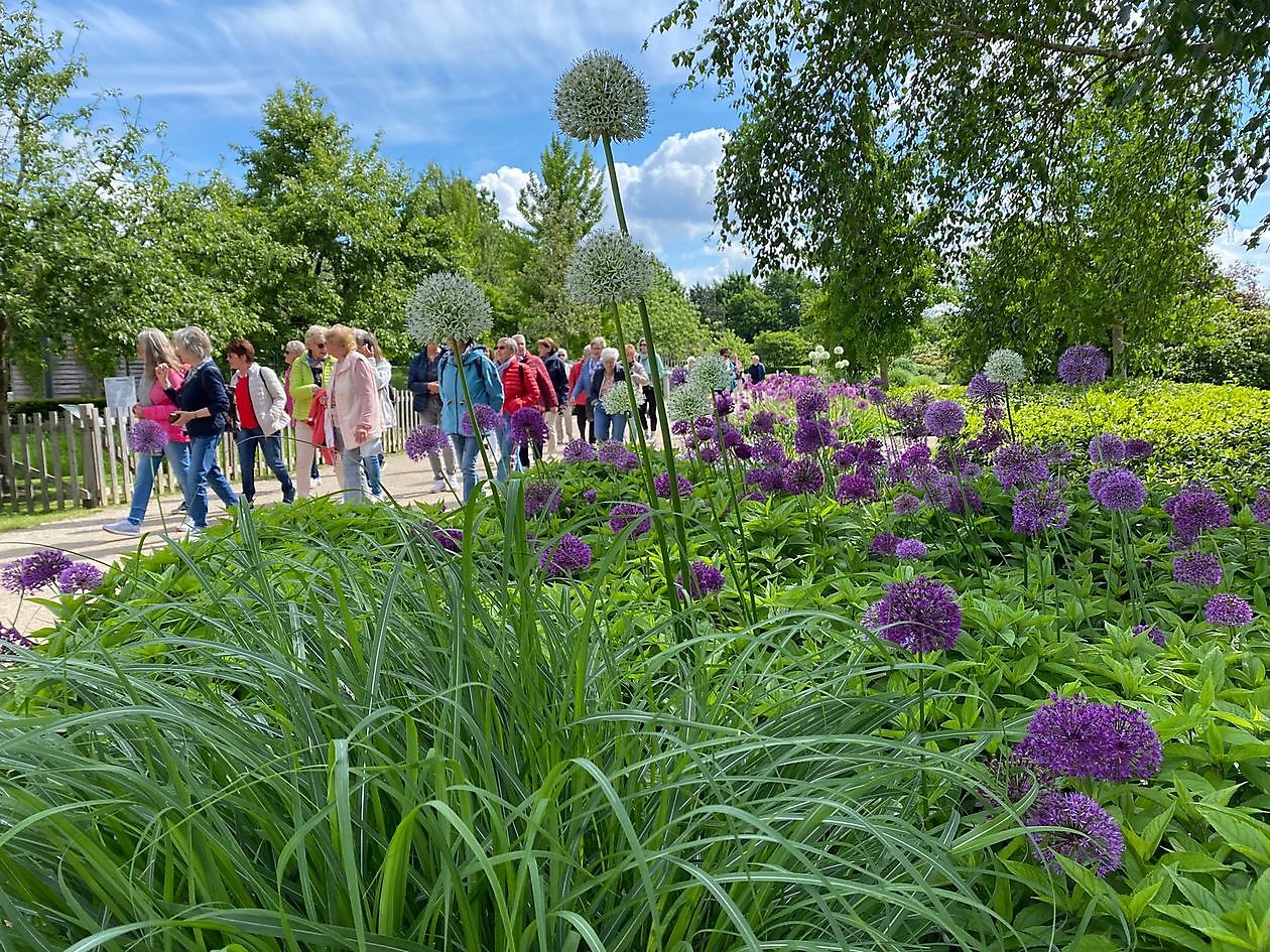 Park der Gärten - Het Tuinpad Op / In Nachbars Garten