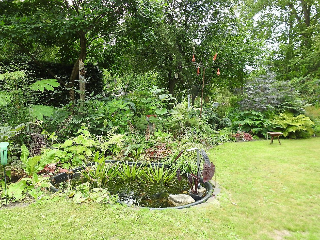 Klein Flora Westerwolde - Het Tuinpad Op / In Nachbars Garten