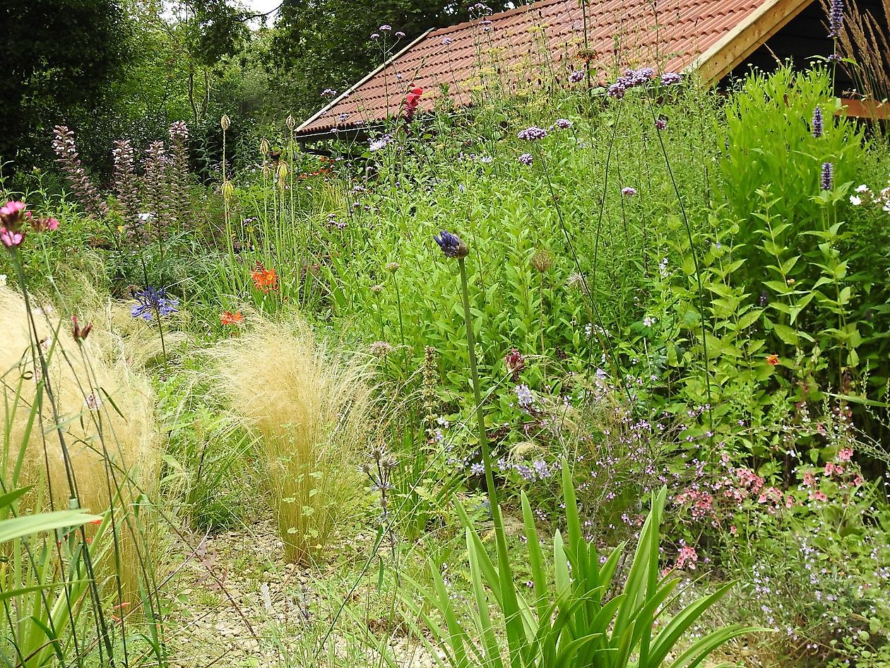 Klein Flora Westerwolde - Het Tuinpad Op / In Nachbars Garten