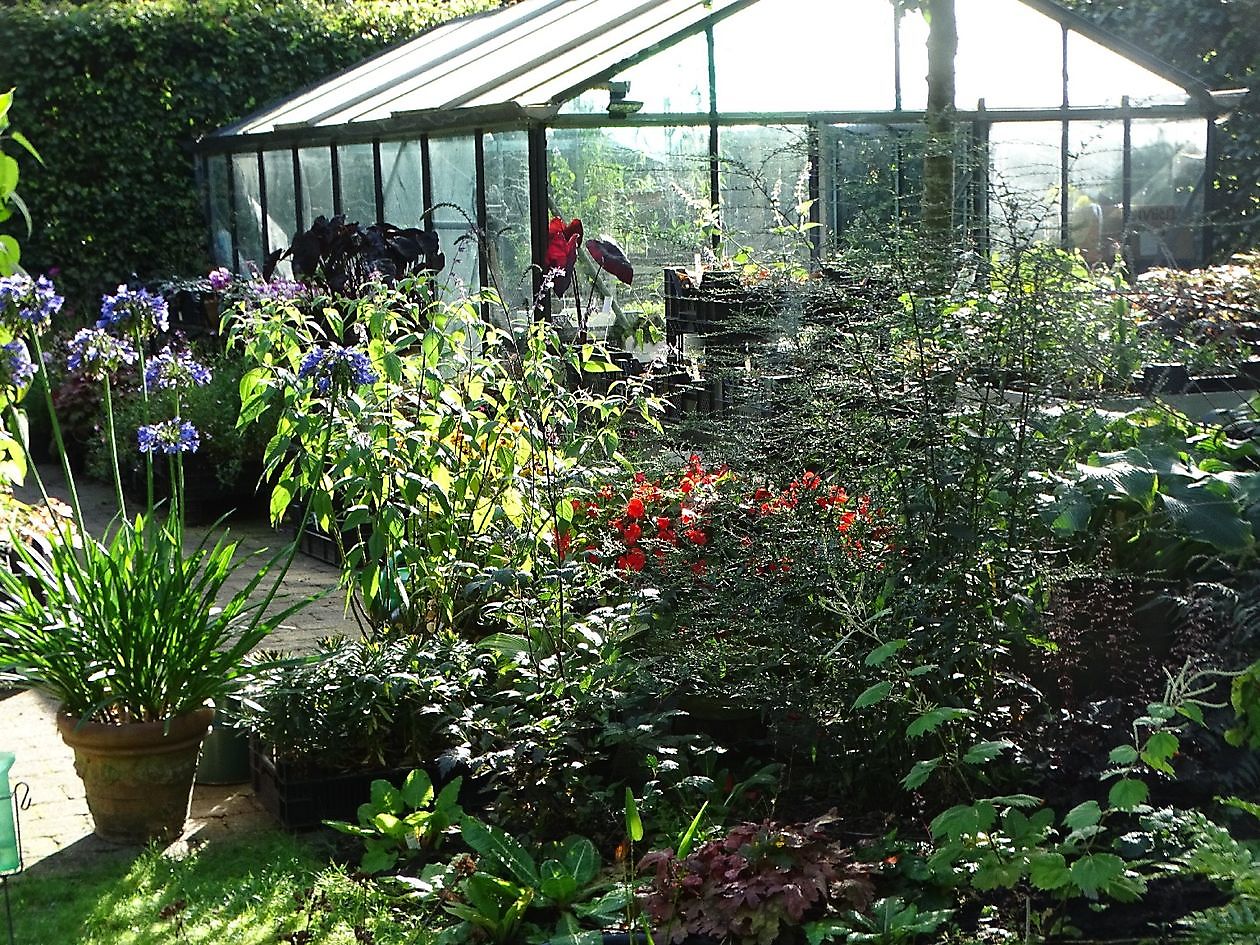 Klein Flora Westerwolde - Het Tuinpad Op / In Nachbars Garten