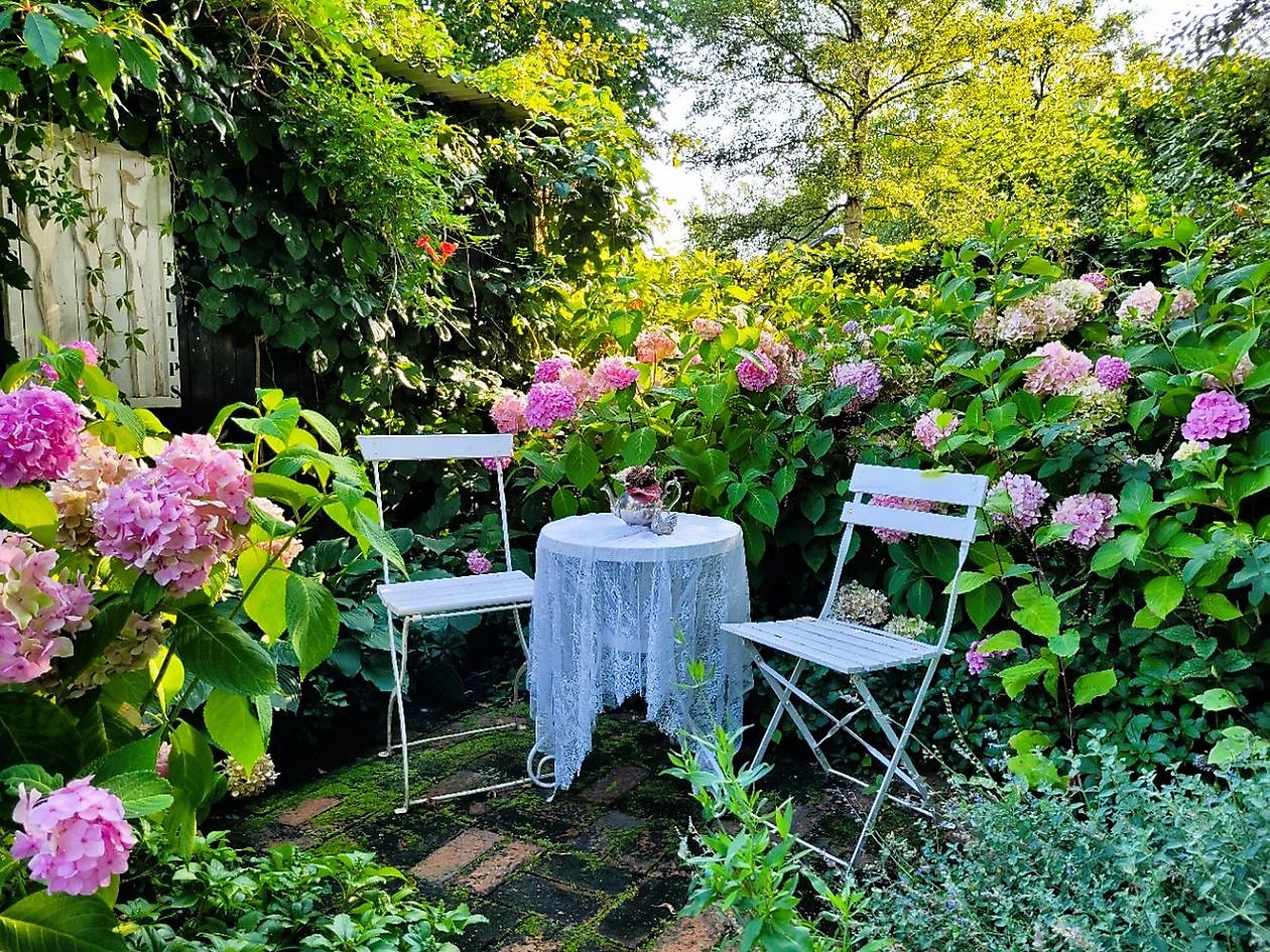 Spetzer Tuun - Het Tuinpad Op / In Nachbars Garten