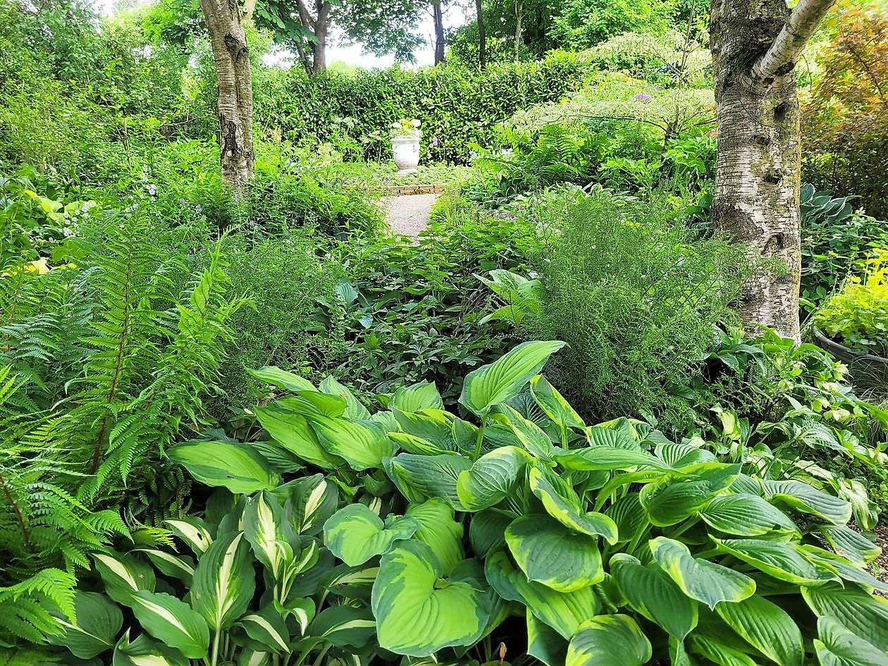 Spetzer Tuun - Het Tuinpad Op / In Nachbars Garten