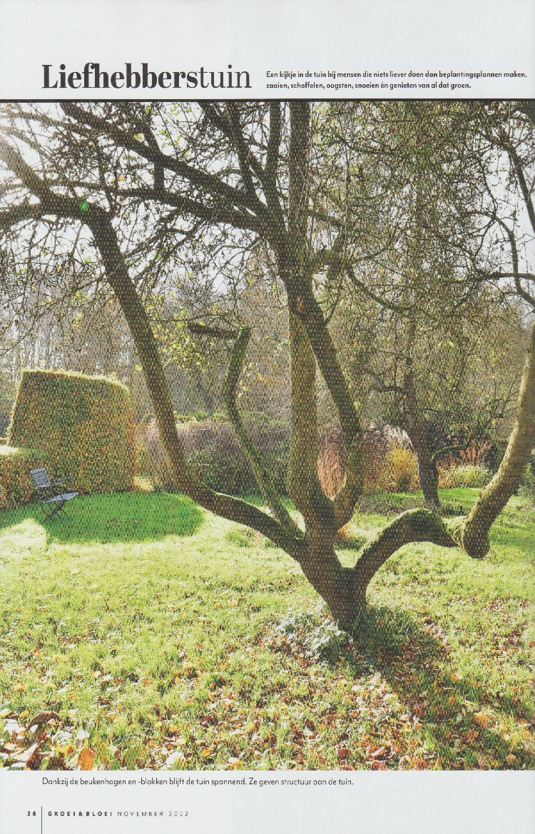 Garten Chris Bruinsma - Het Tuinpad Op / In Nachbars Garten