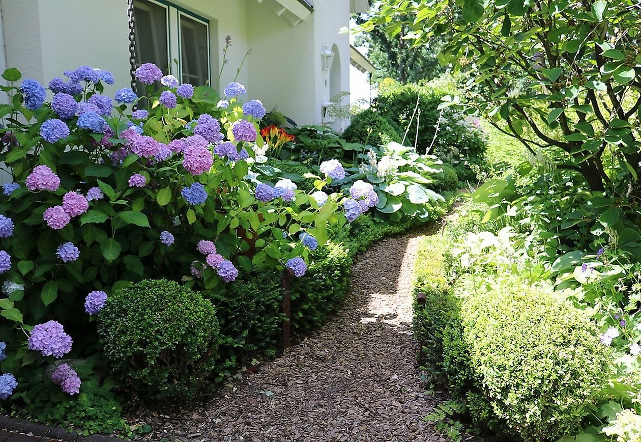 Garten beim Holze - Het Tuinpad Op / In Nachbars Garten