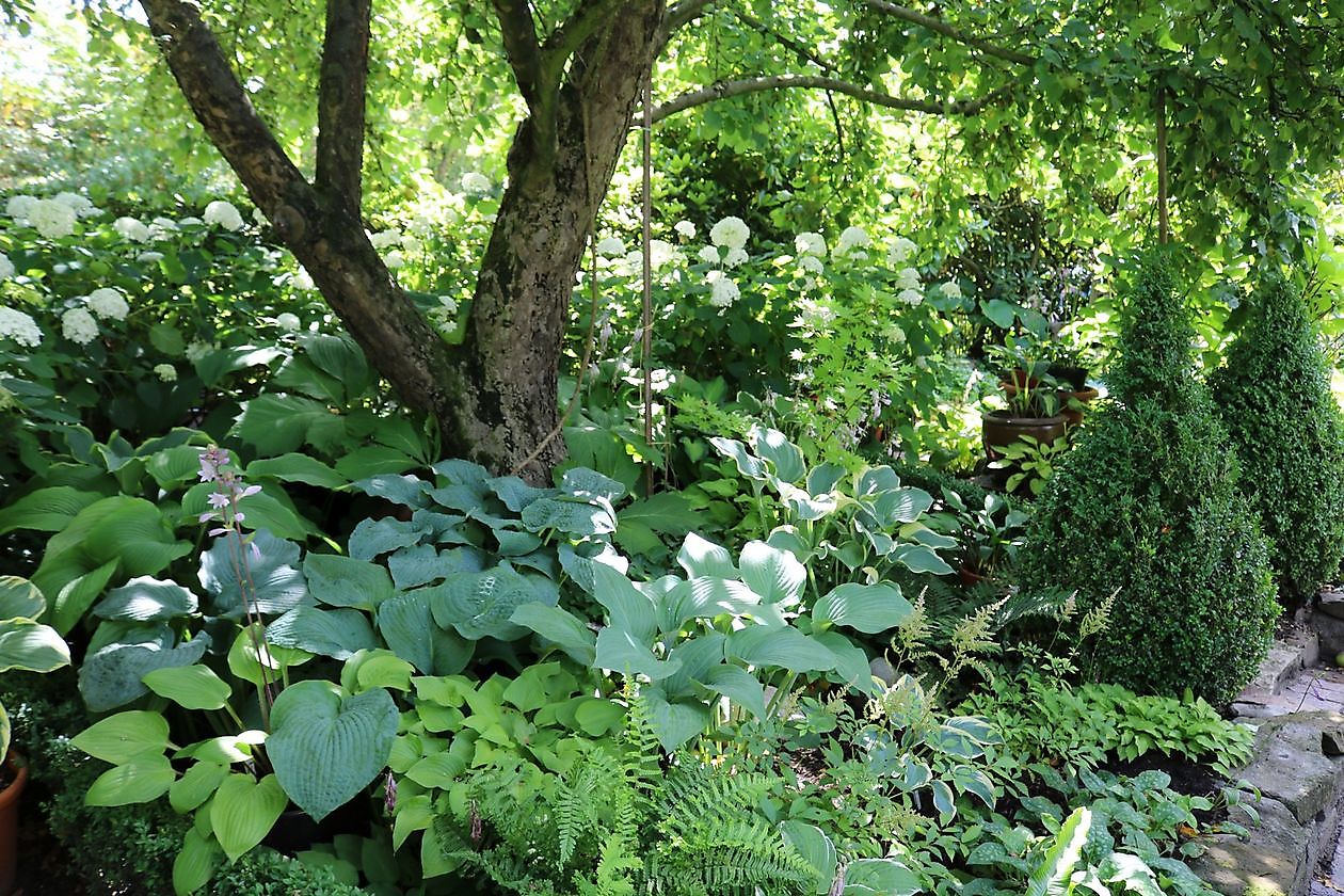 Garten beim Holze - Het Tuinpad Op / In Nachbars Garten