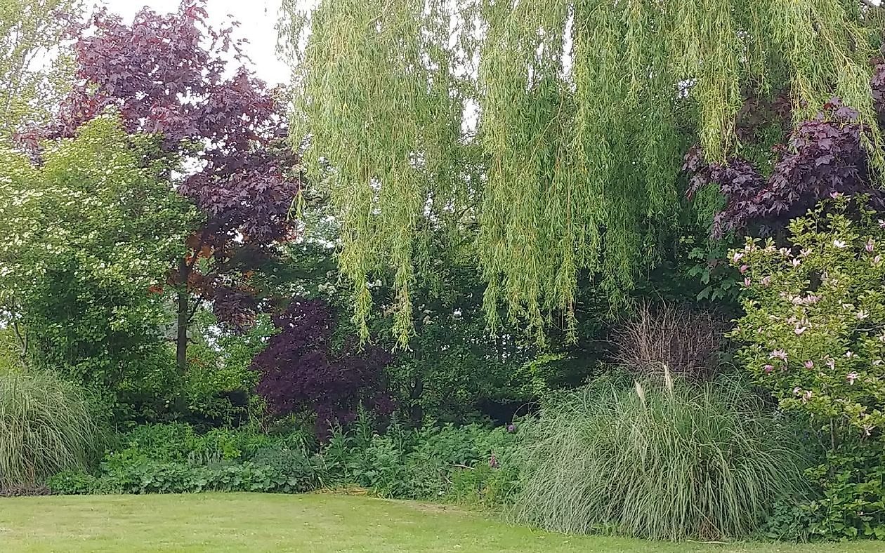 Meerstadtuin - Het Tuinpad Op / In Nachbars Garten