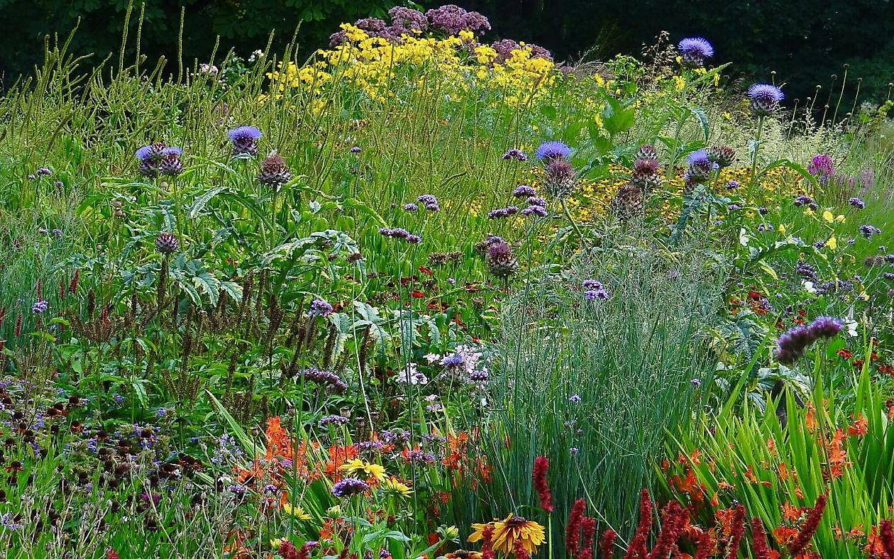 Roos van Hijken - Het Tuinpad Op / In Nachbars Garten