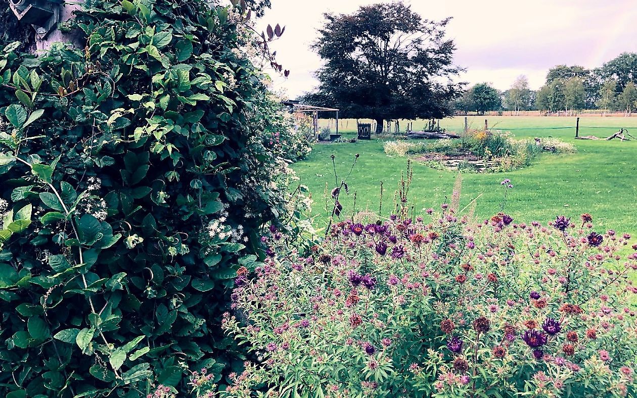 De Rode Melde - Het Tuinpad Op / In Nachbars Garten