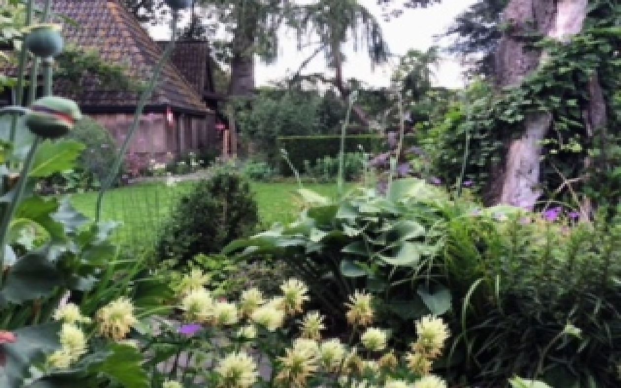 De Rode Melde - Het Tuinpad Op / In Nachbars Garten