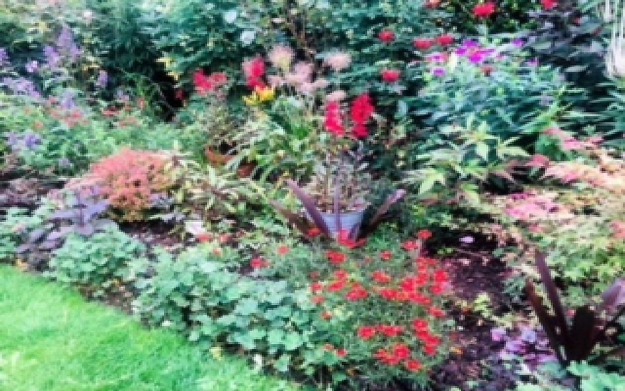 De Rode Melde - Het Tuinpad Op / In Nachbars Garten