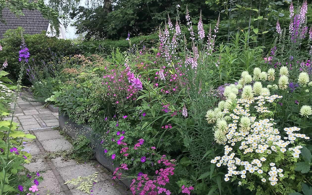 Uilenborg II - Het Tuinpad Op / In Nachbars Garten