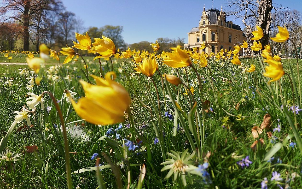 Burg Nienoord - Het Tuinpad Op / In Nachbars Garten