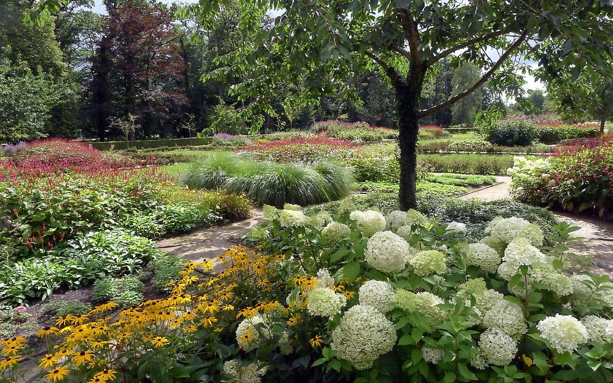 Burg Nienoord - Het Tuinpad Op / In Nachbars Garten