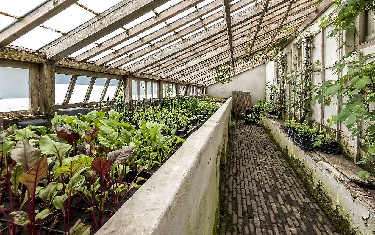 Landgoed Ewsum - Het Tuinpad Op / In Nachbars Garten