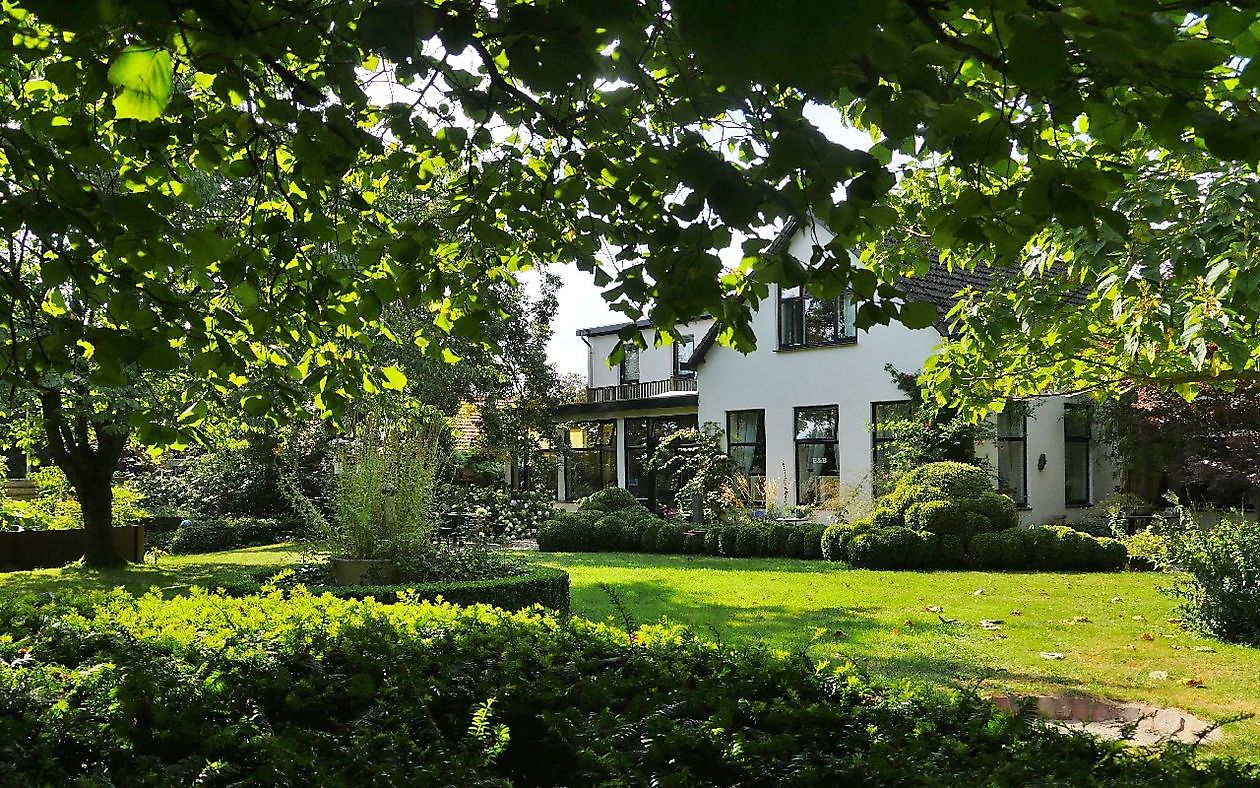 De Witte Wolk - Het Tuinpad Op / In Nachbars Garten