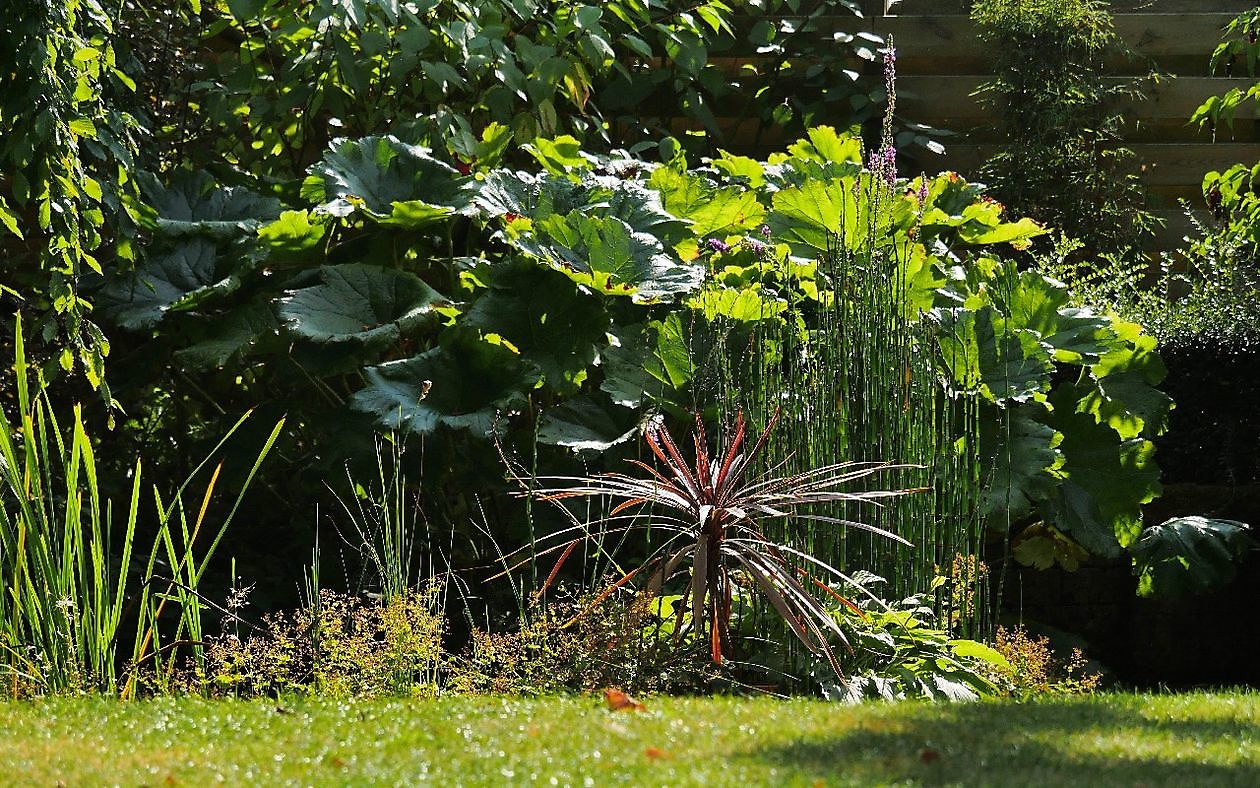 De Witte Wolk - Het Tuinpad Op / In Nachbars Garten