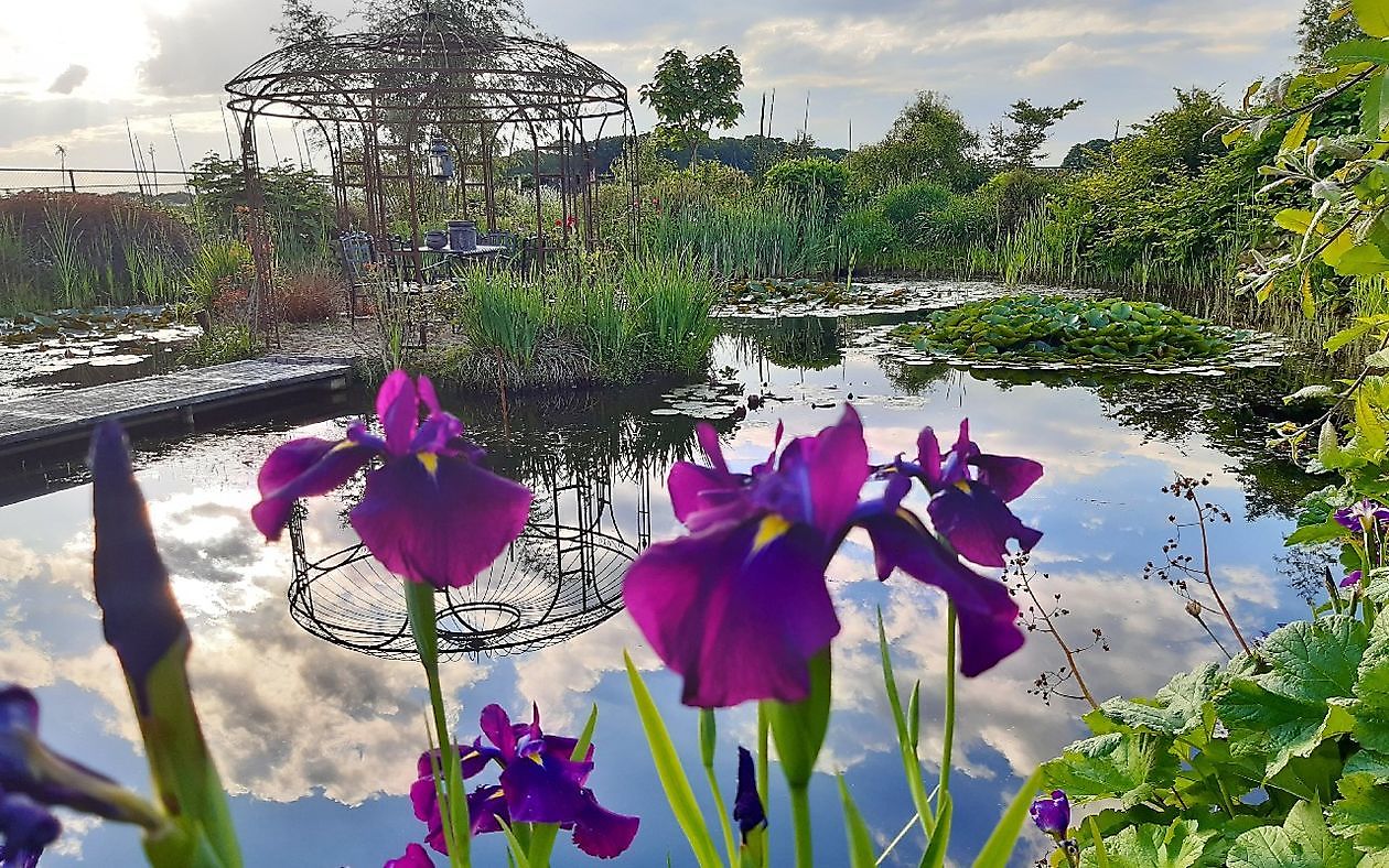 De Eendepoel - Het Tuinpad Op / In Nachbars Garten