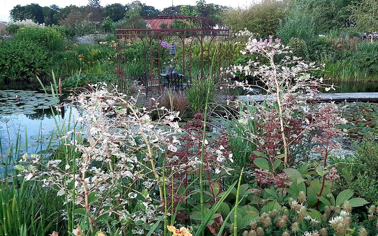 De Eendepoel - Het Tuinpad Op / In Nachbars Garten