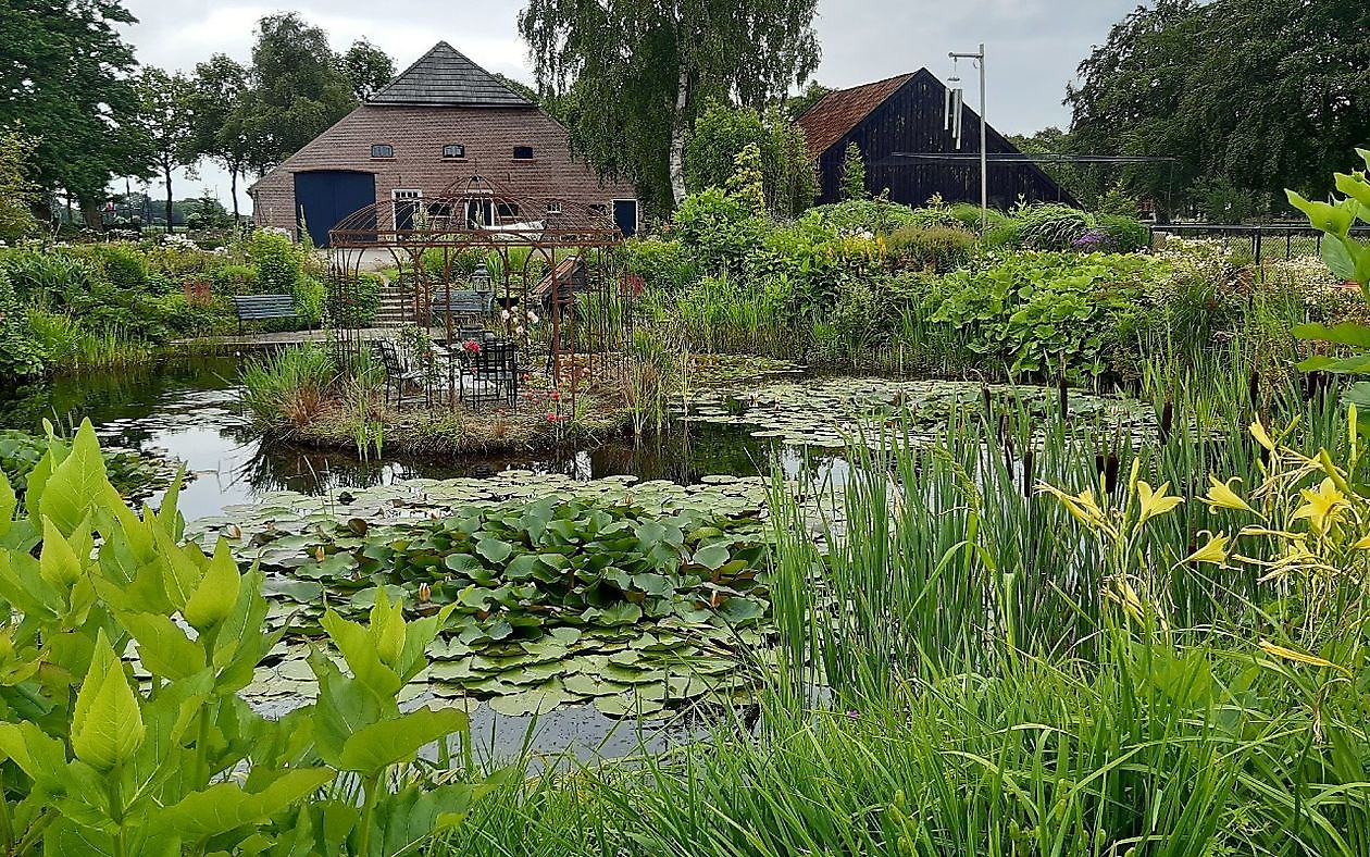 De Eendepoel - Het Tuinpad Op / In Nachbars Garten