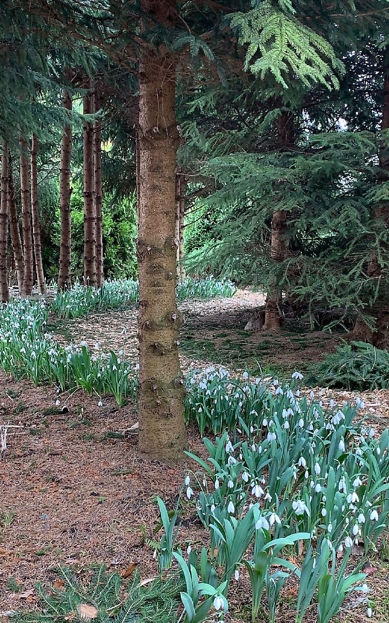 De Vier Handen  (Die vier Hände) - Het Tuinpad Op / In Nachbars Garten