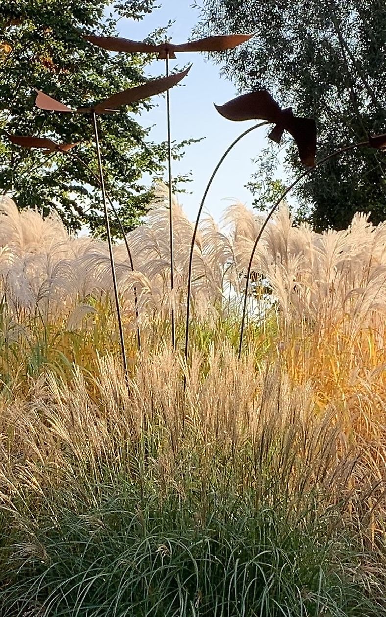 De Vier Handen  (Die vier Hände) - Het Tuinpad Op / In Nachbars Garten